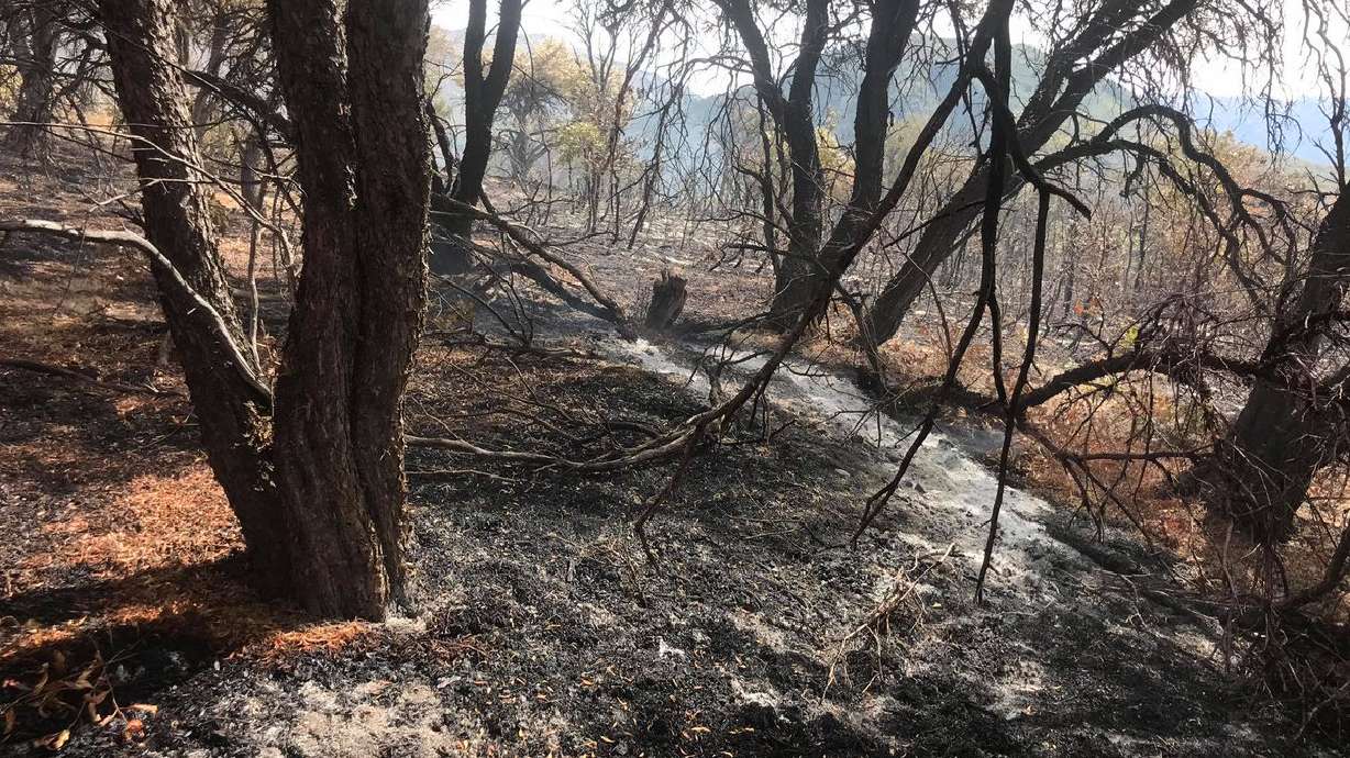 The Battle Creek 2 Fire in Utah County is seen on Friday, Sept. 18, 2020.