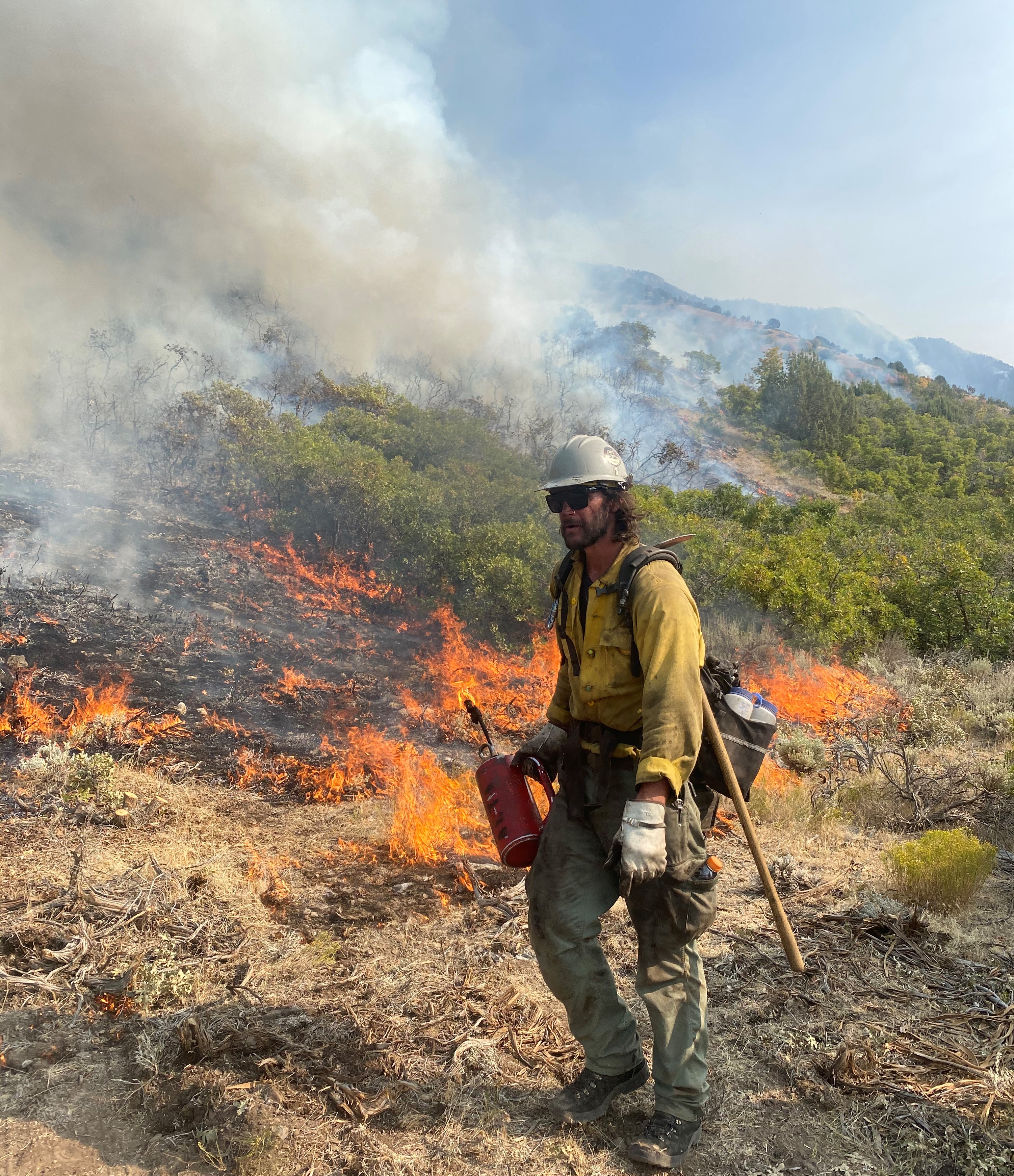 Wildfire updates: Ether Hollow Fire 93% contained