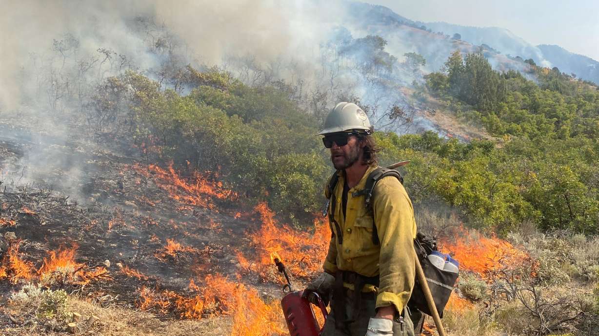 Wildfire updates: Ether Hollow Fire 93% contained