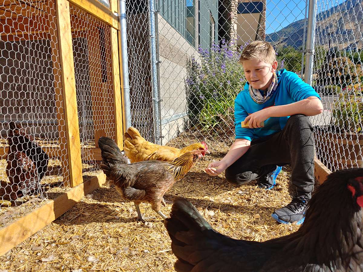 Blended and distanced learning schools are flourishing in the COVID-19 gap