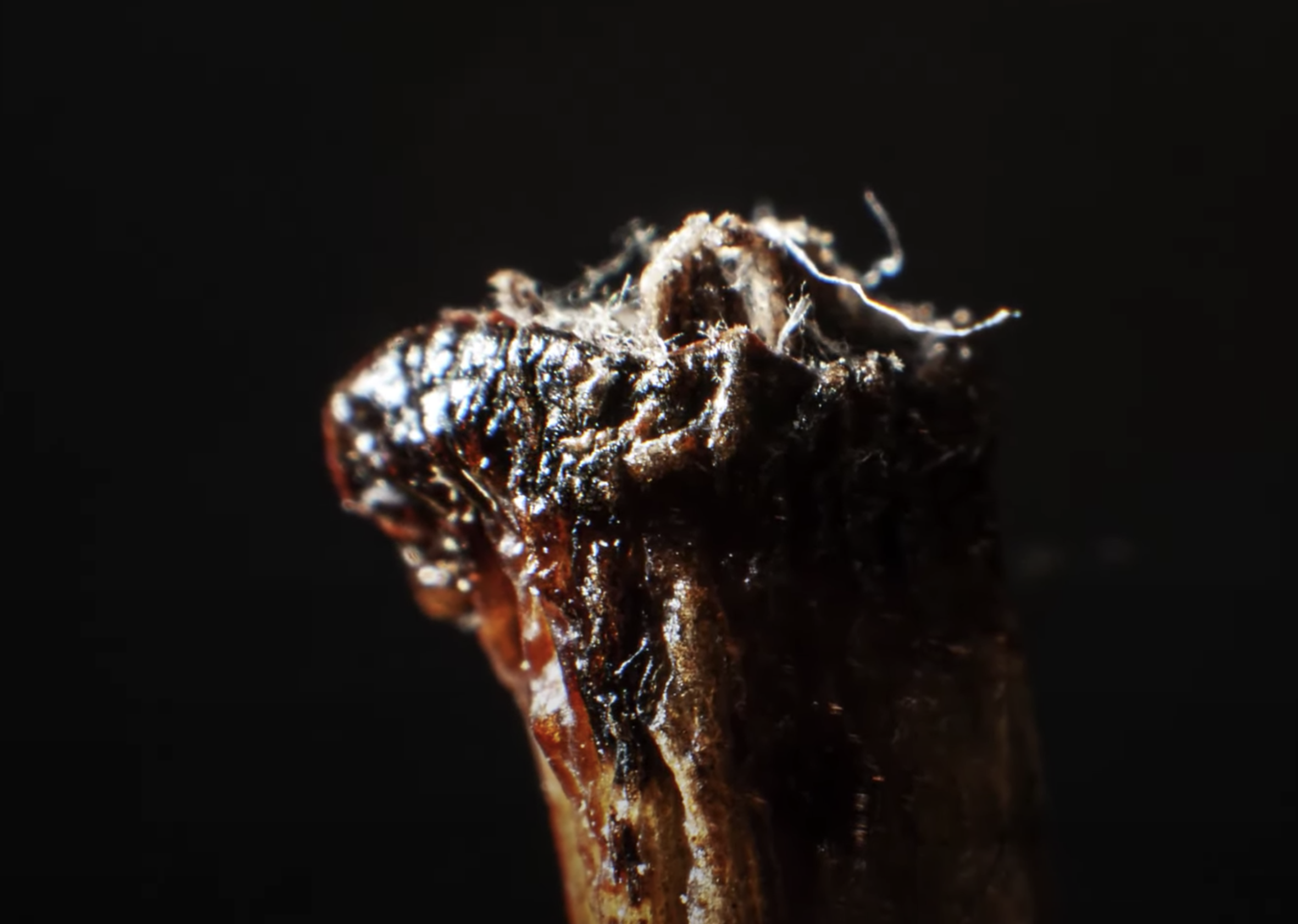 Have You Seen This? Can you guess these up-close objects before it zooms out?