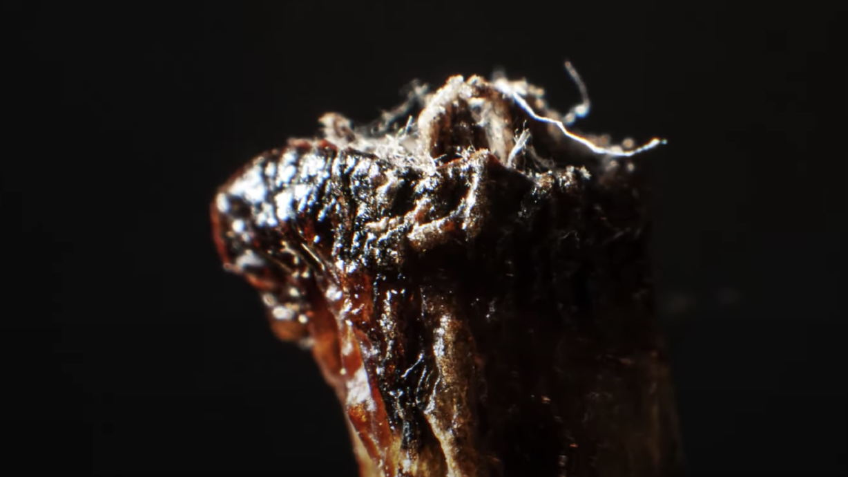 Have You Seen This? Can you guess these up-close objects before it zooms out?