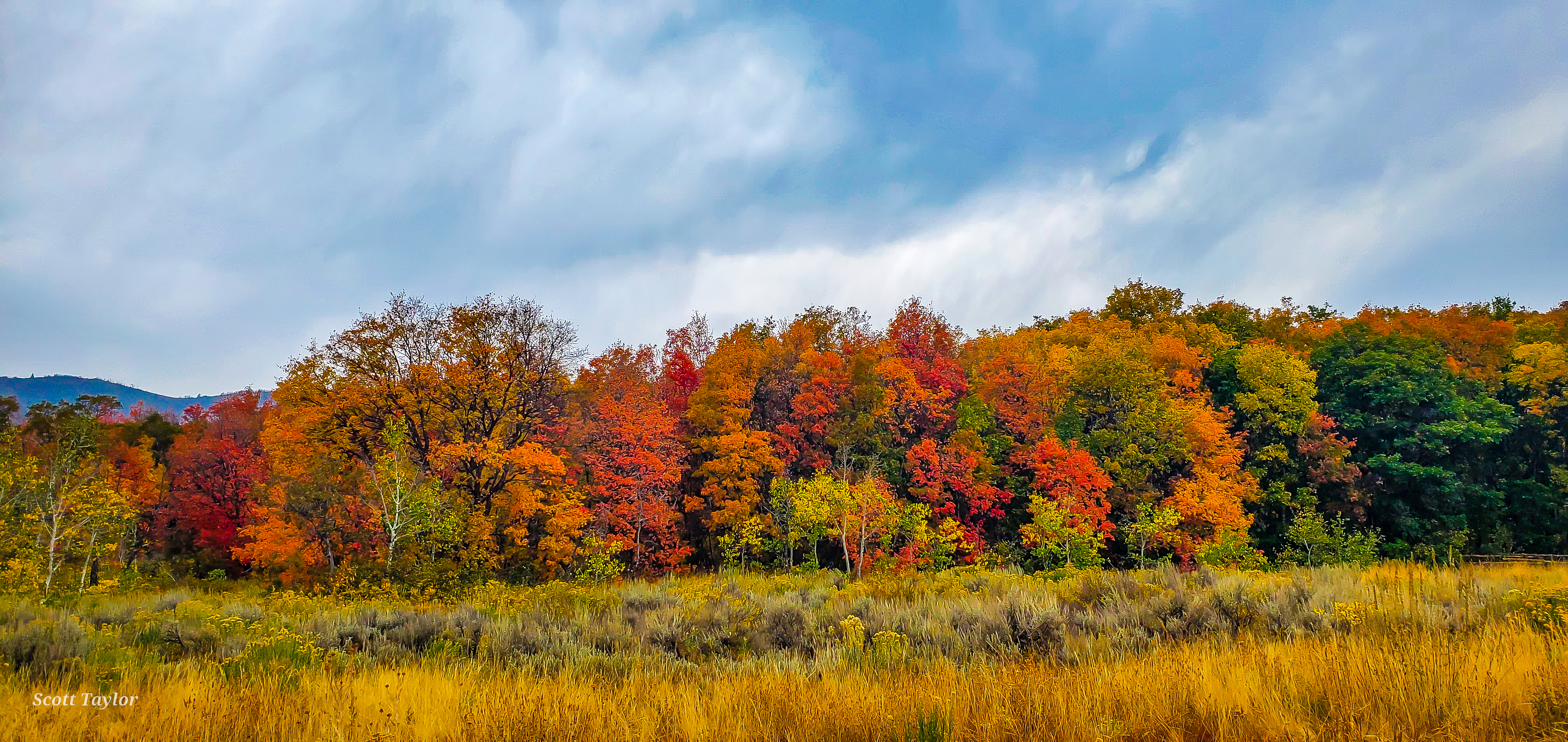 Fall foliage along the Wasatch Back submitted to KSL on Monday, Sept. 21, 2020,