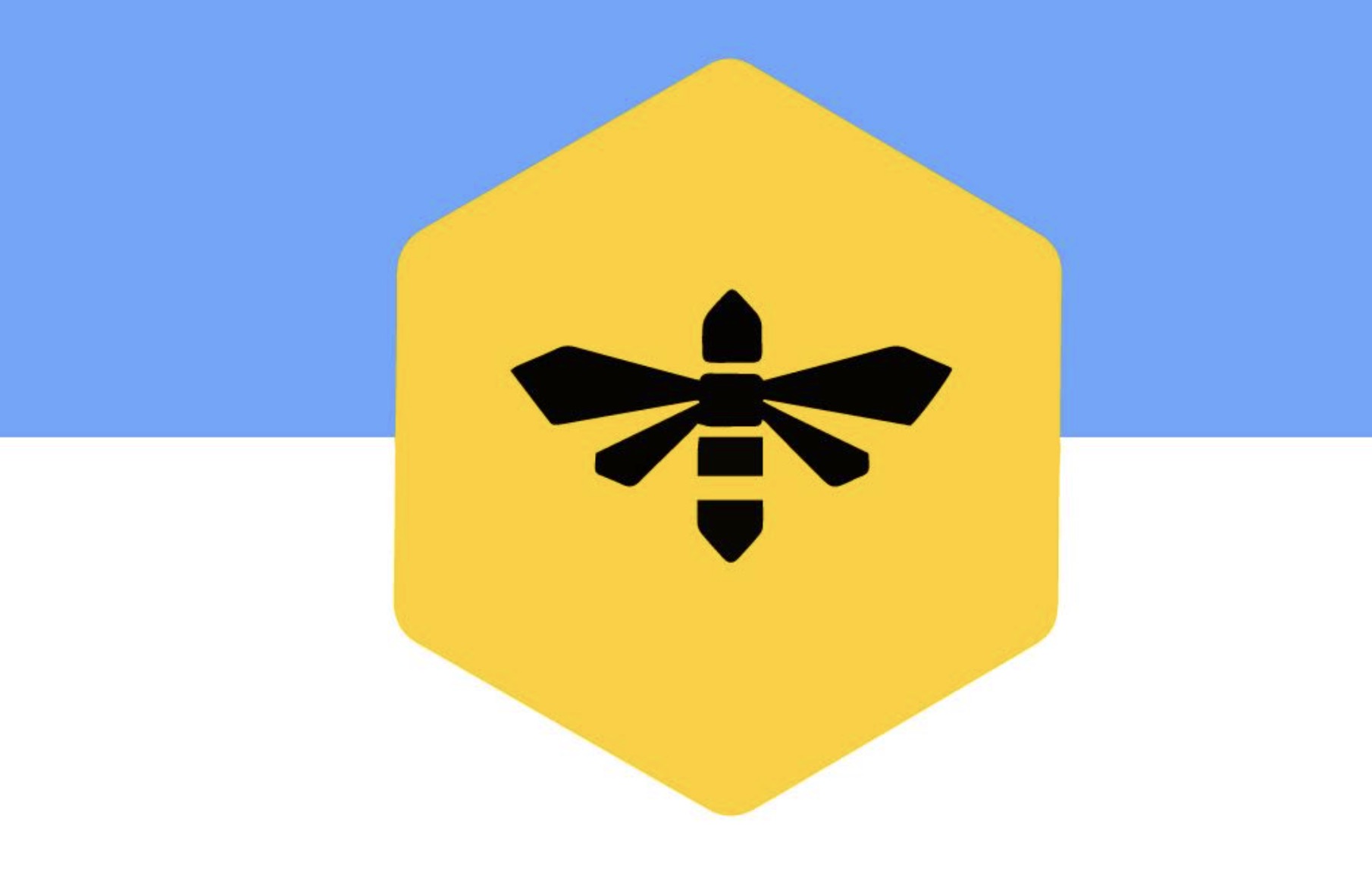 The flag design submitted by Ella Kennedy-Yoon earlier this year.