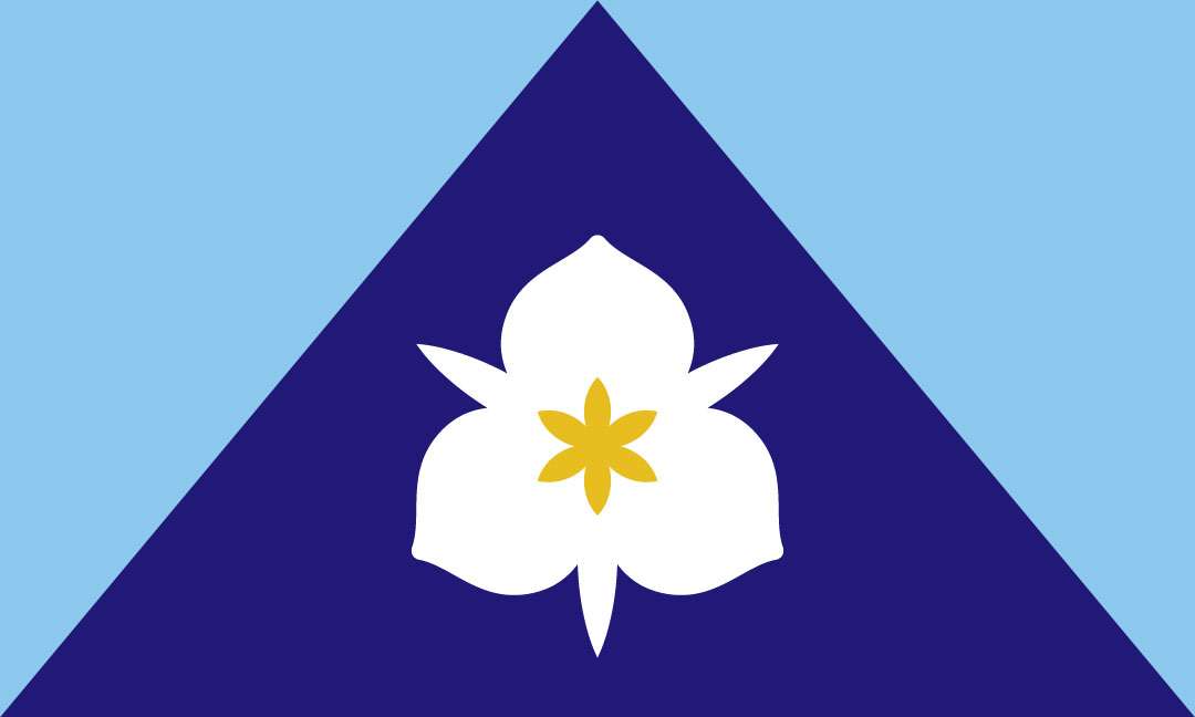 The flag design submitted by Arianna Meinking earlier this year.