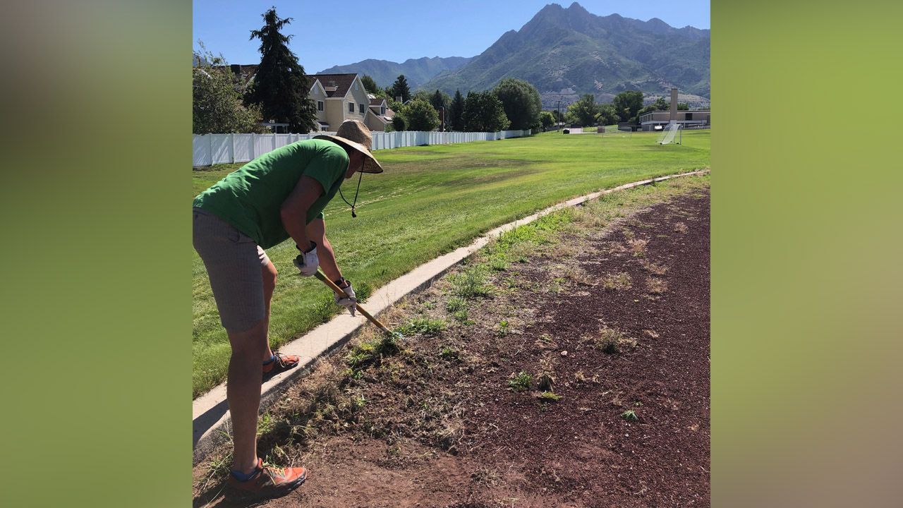 B.J. Christenson works on getting rid of the weeds at the Bonneville Jr. High track.