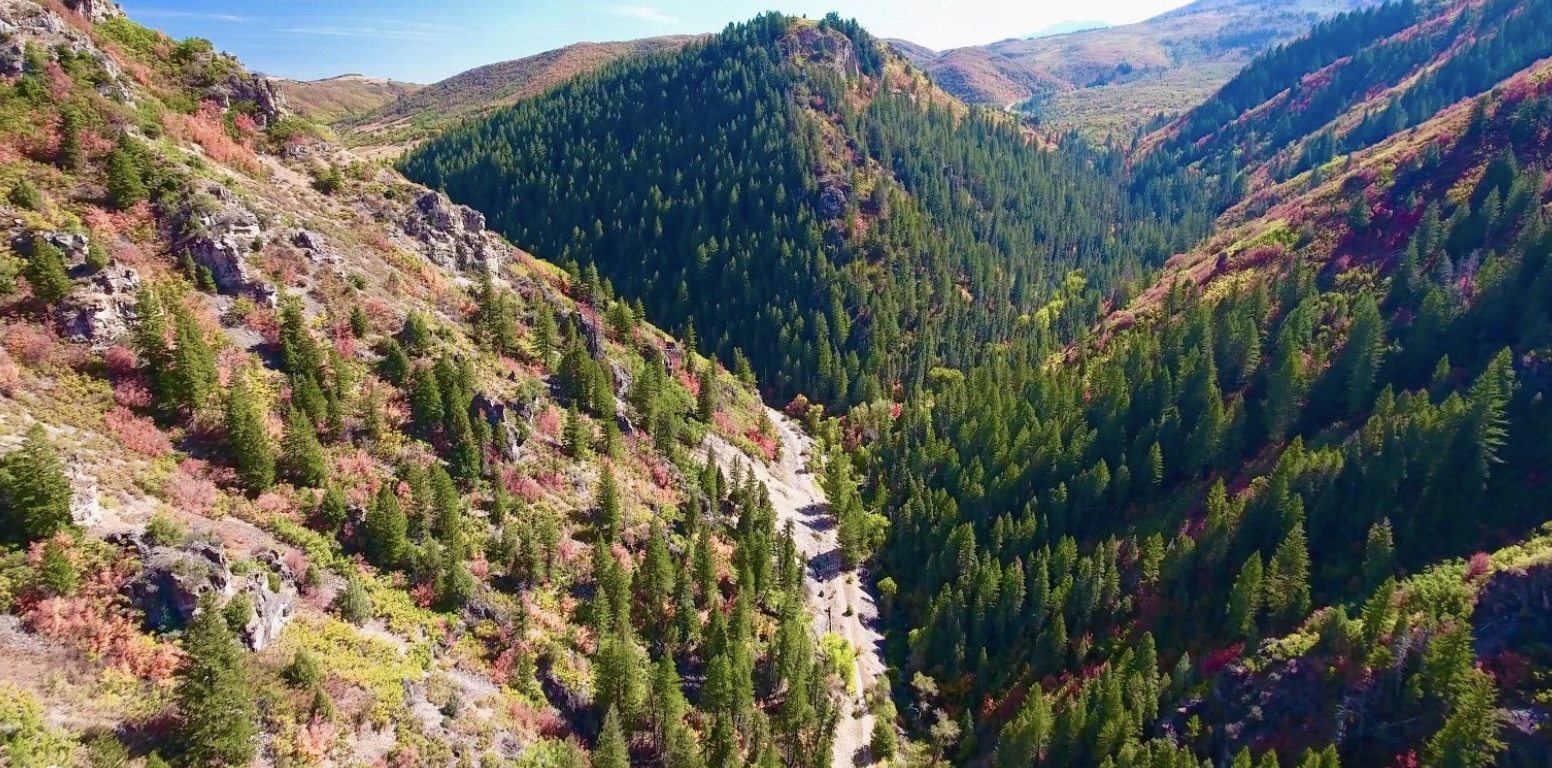 6 leaf-peeping spots around Ogden