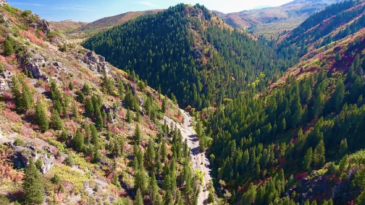 6 leaf-peeping spots around Ogden