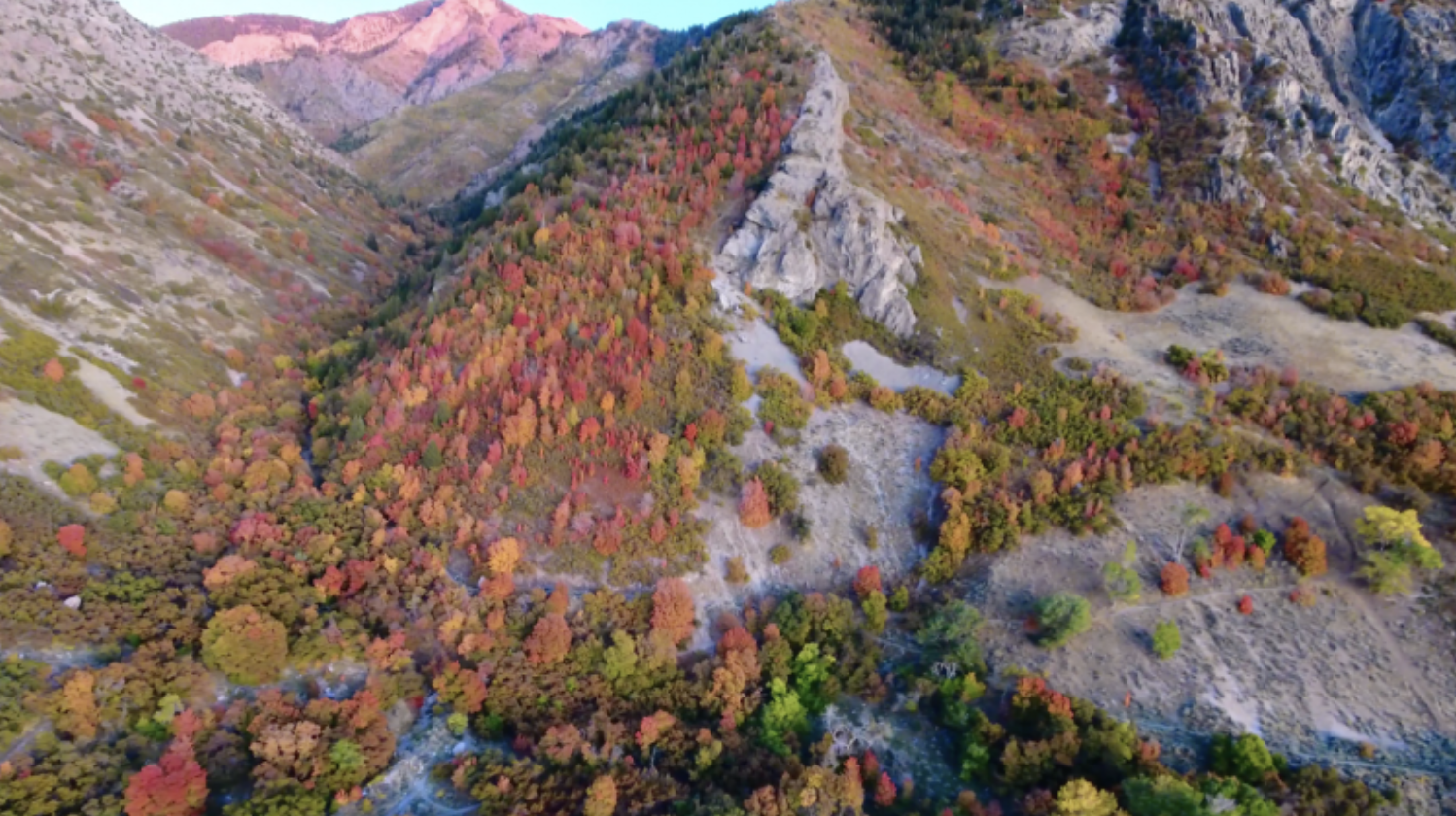 Photo courtesy Visit Ogden