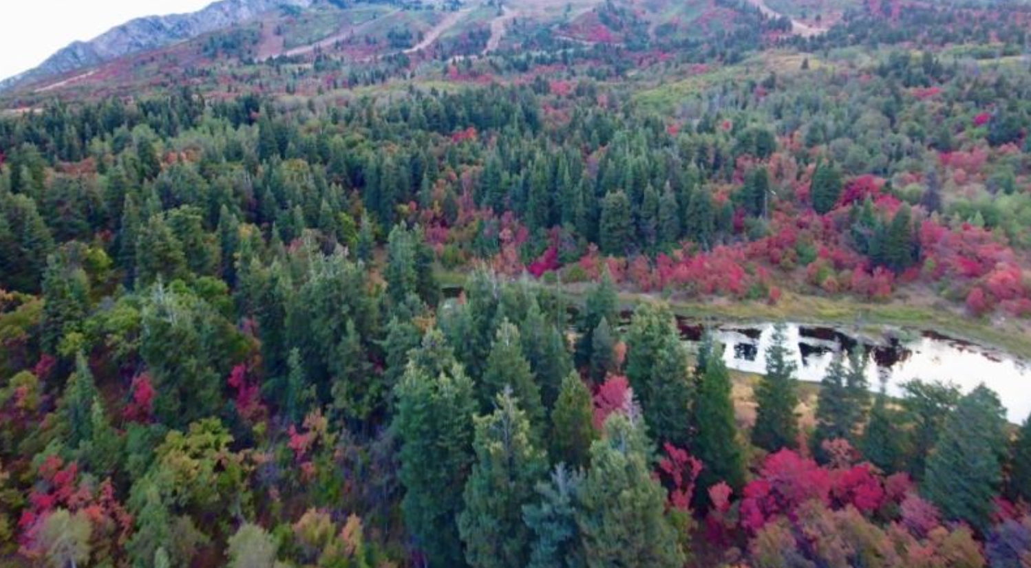 Photo courtesy Visit Ogden