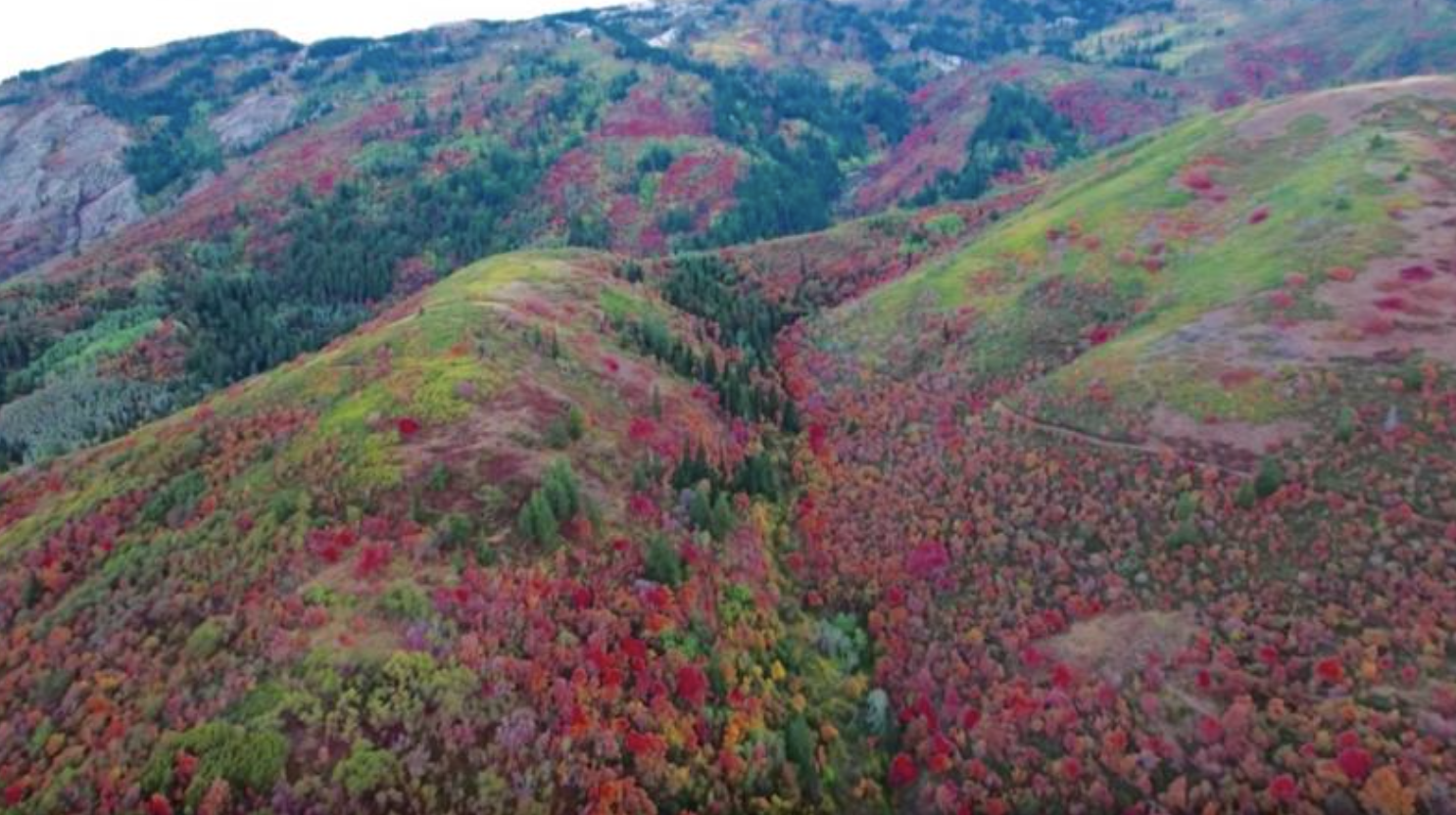 Photo courtesy Visit Ogden