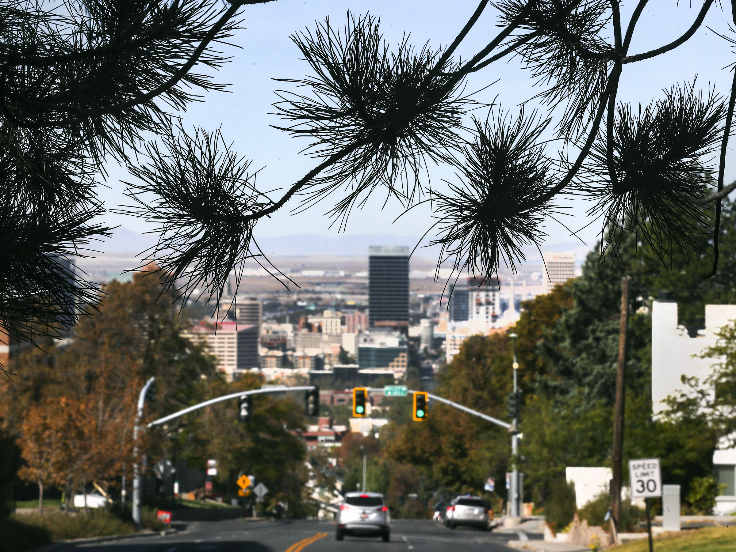 How University of Utah trees are being used to measure air pollution