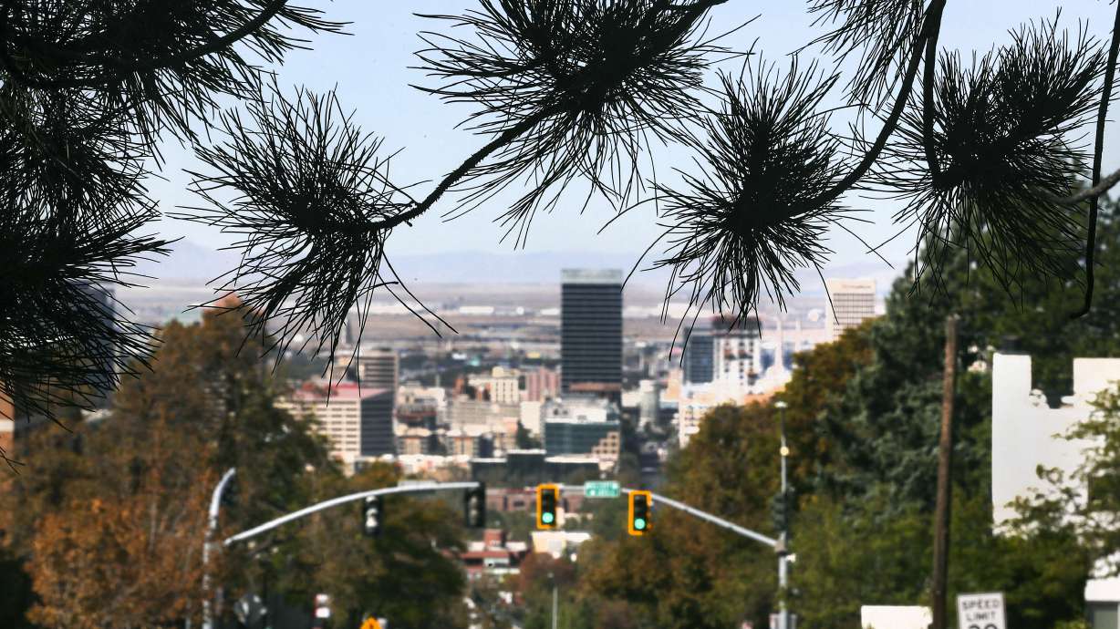 How University of Utah trees are being used to measure air pollution