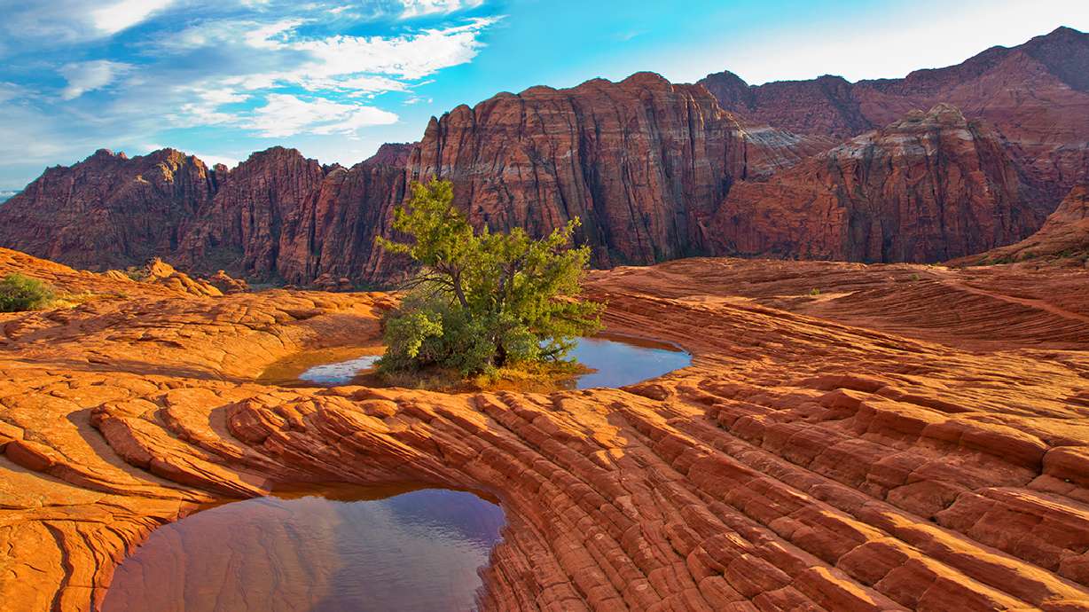 9 things you never knew about Zion, Bryce, and Capitol Reef national parks