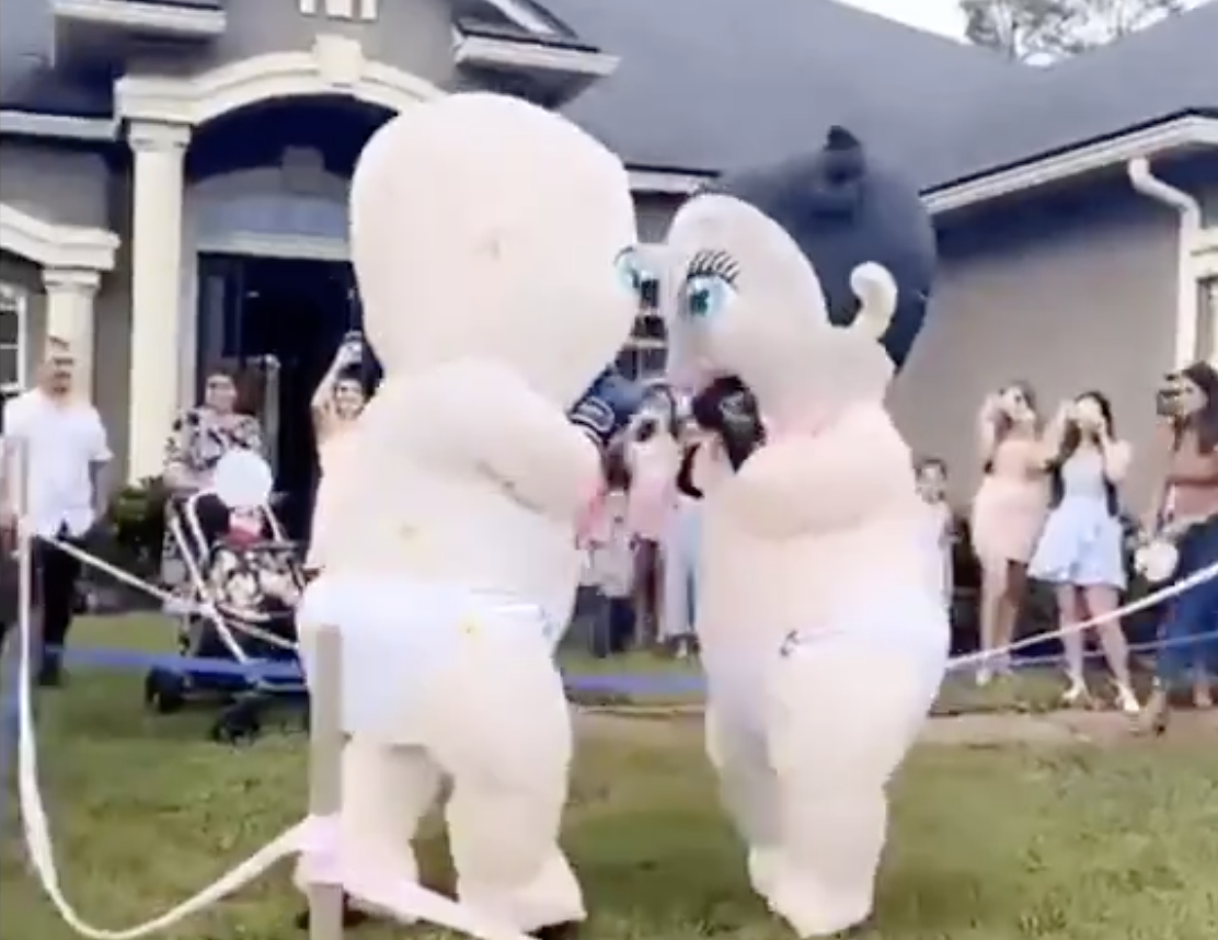 Have You Seen This? More proof that gender reveal parties have gone too far
