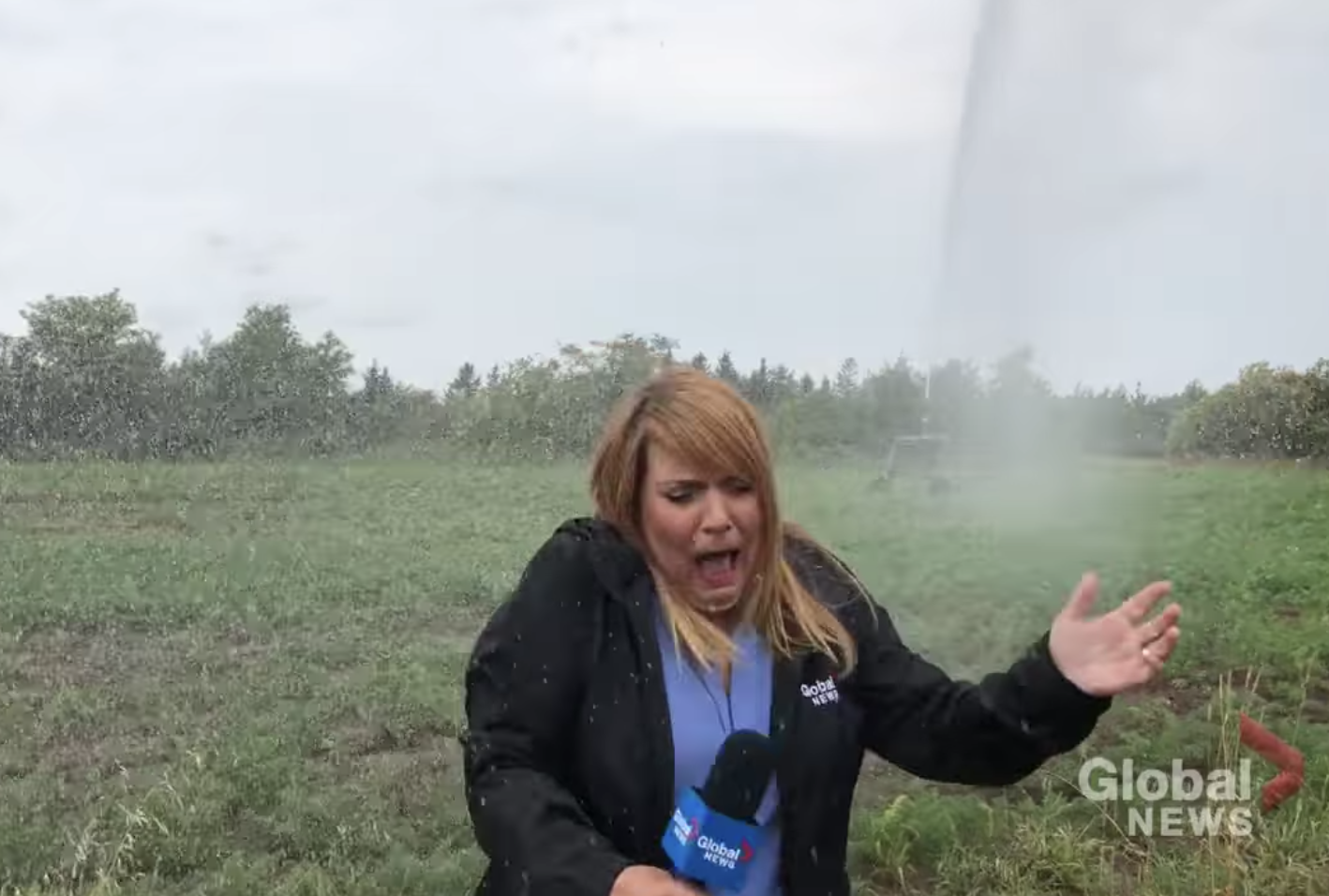 Have You Seen This? Reporter needs to be more aware of her surroundings