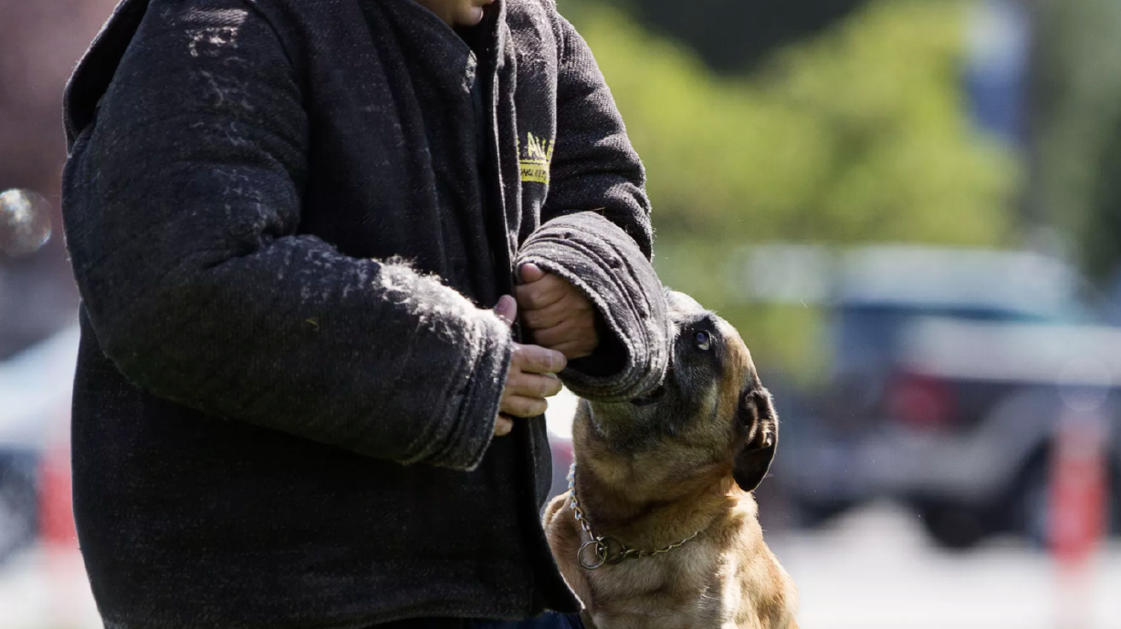 Group calls lawmaker’s comments about K-9 arrests 'obscene'