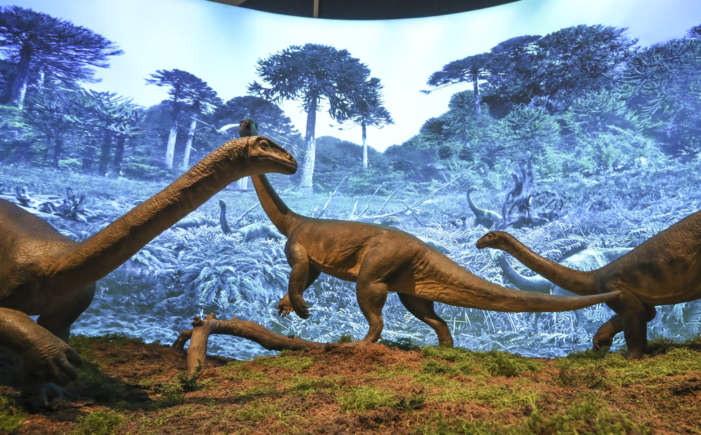 Smaller dinosaurs are displayed at the “Antarctic Dinosaurs” exhibit at the Natural History Museum of Utah in Salt Lake City on Friday, Oct. 23, 2020. The exhibit guides visitors through what was once a lush, thriving continent and explains how paleontologists carefully extracted four Antarctic dinosaur species from the now-frozen landscape.