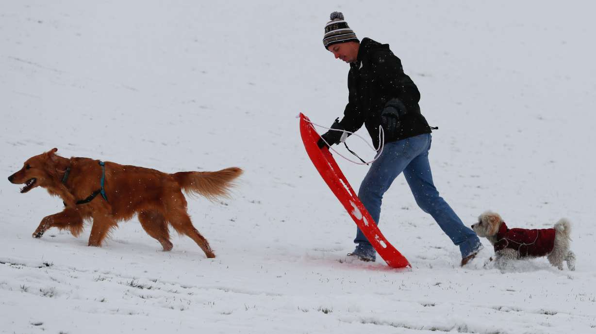 A man walks in the snow with his dogs at Sugar House Park in Salt Lake City on Oct. 25, 2020.