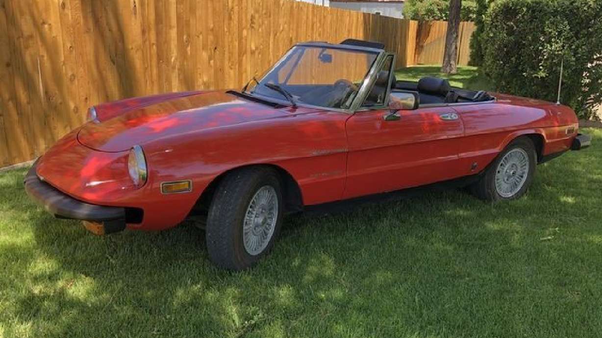 1981 Alfa Romeo Spider Veloce