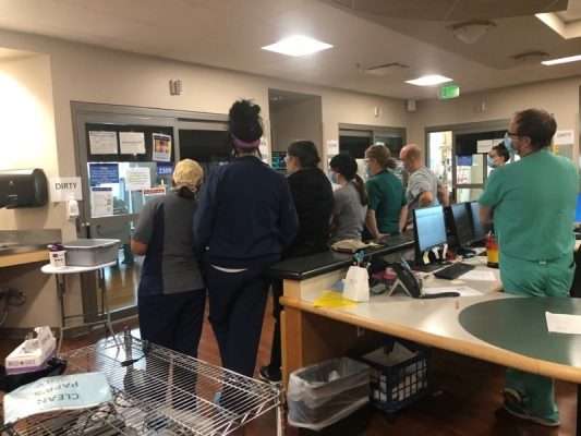 Grover Wilhelmsen plays his violin while intubated with COVID-19 at McKay-Dee Hospital