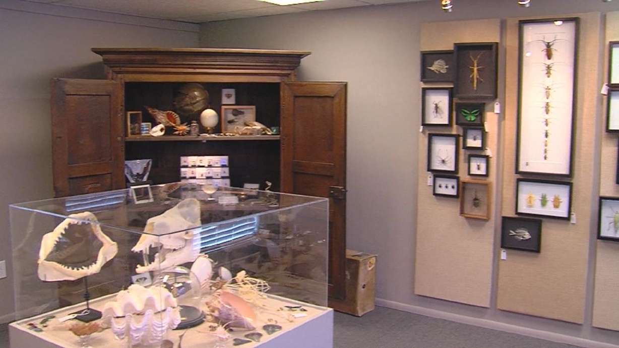 Midvale businessman accused of wildlife trafficking, violating Endangered Species Act