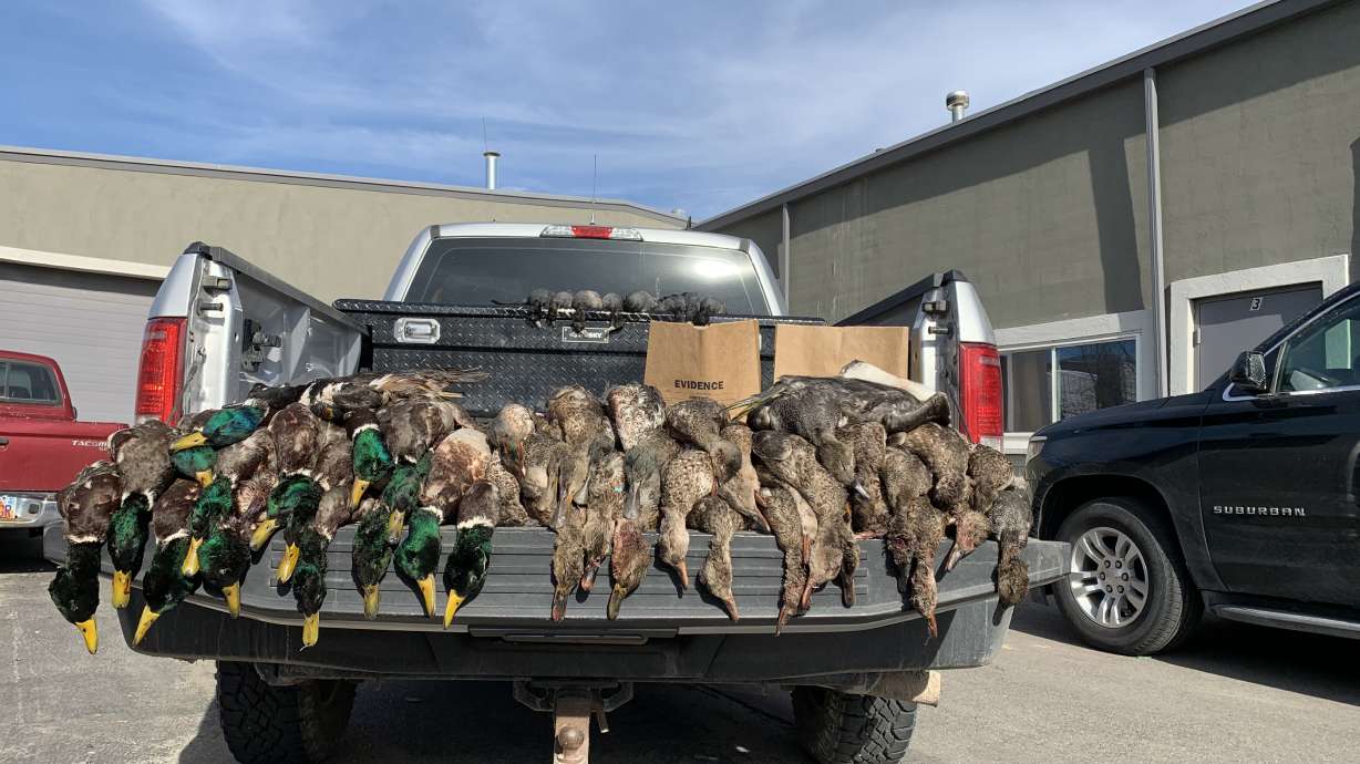 Wildlife officials say 60 waterfowl found dumped in South Salt Lake dumpster
