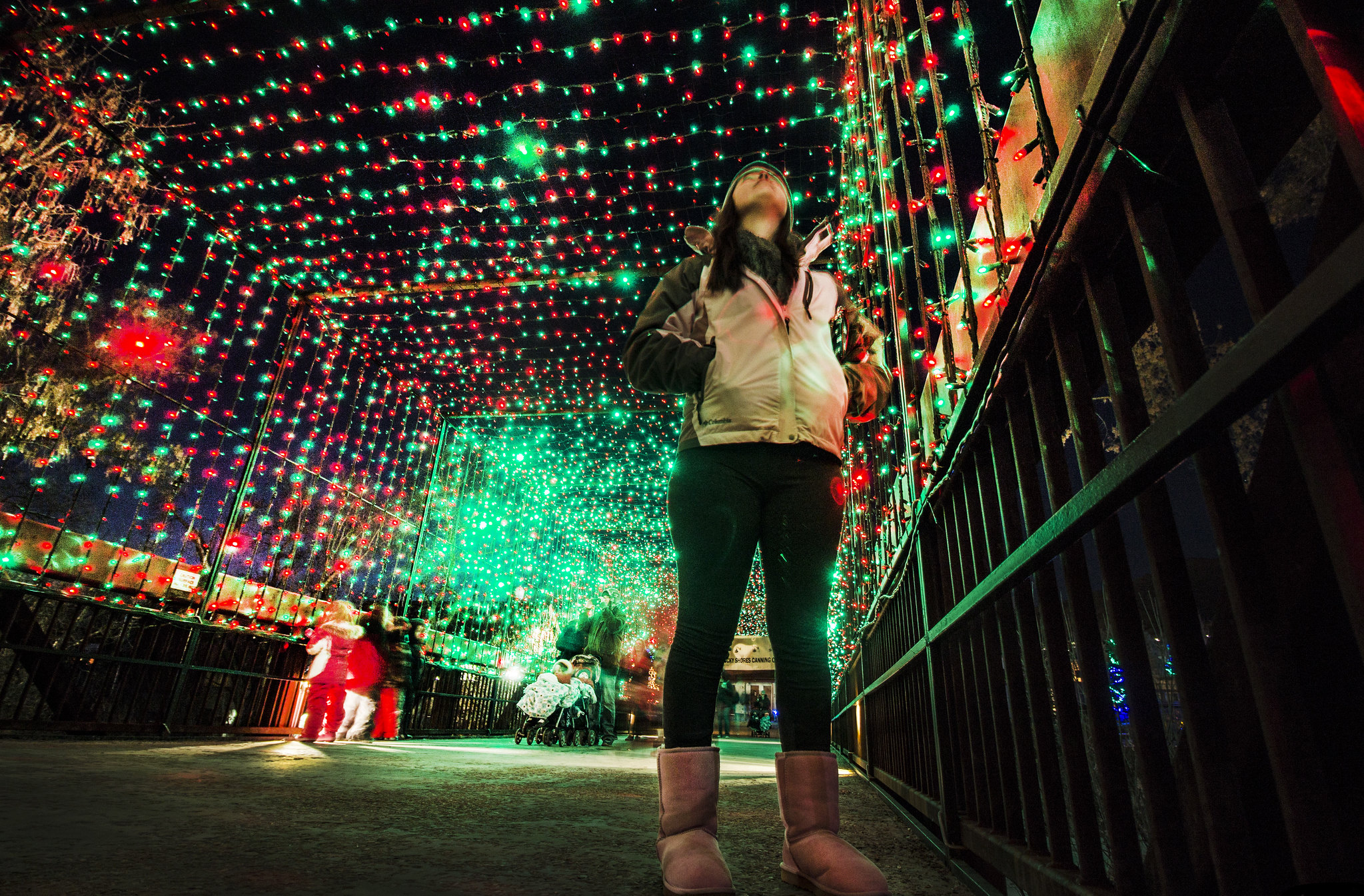 Hogle Zoo's 'ZooLights' free this year, but tickets sell out in hours