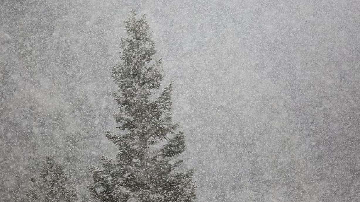 Snow falls in Millcreek Canyon on Monday, Nov. 23, 2020.