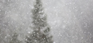 Logan Canyon reopened, traction laws enacted for Cottonwood canyons amid Utah winter storm