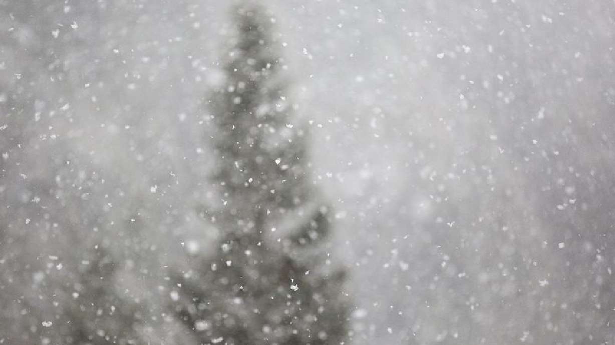 Snow falls in Millcreek Canyon on Monday, Nov. 23, 2020.