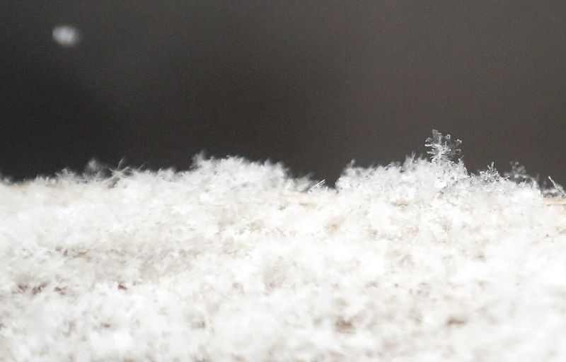 Snow falls in Millcreek Canyon on Monday, Nov. 23, 2020.