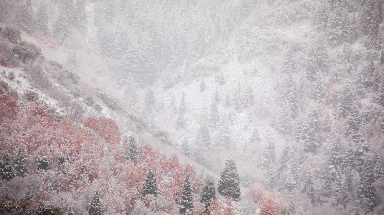 Little Cottonwood Canyon