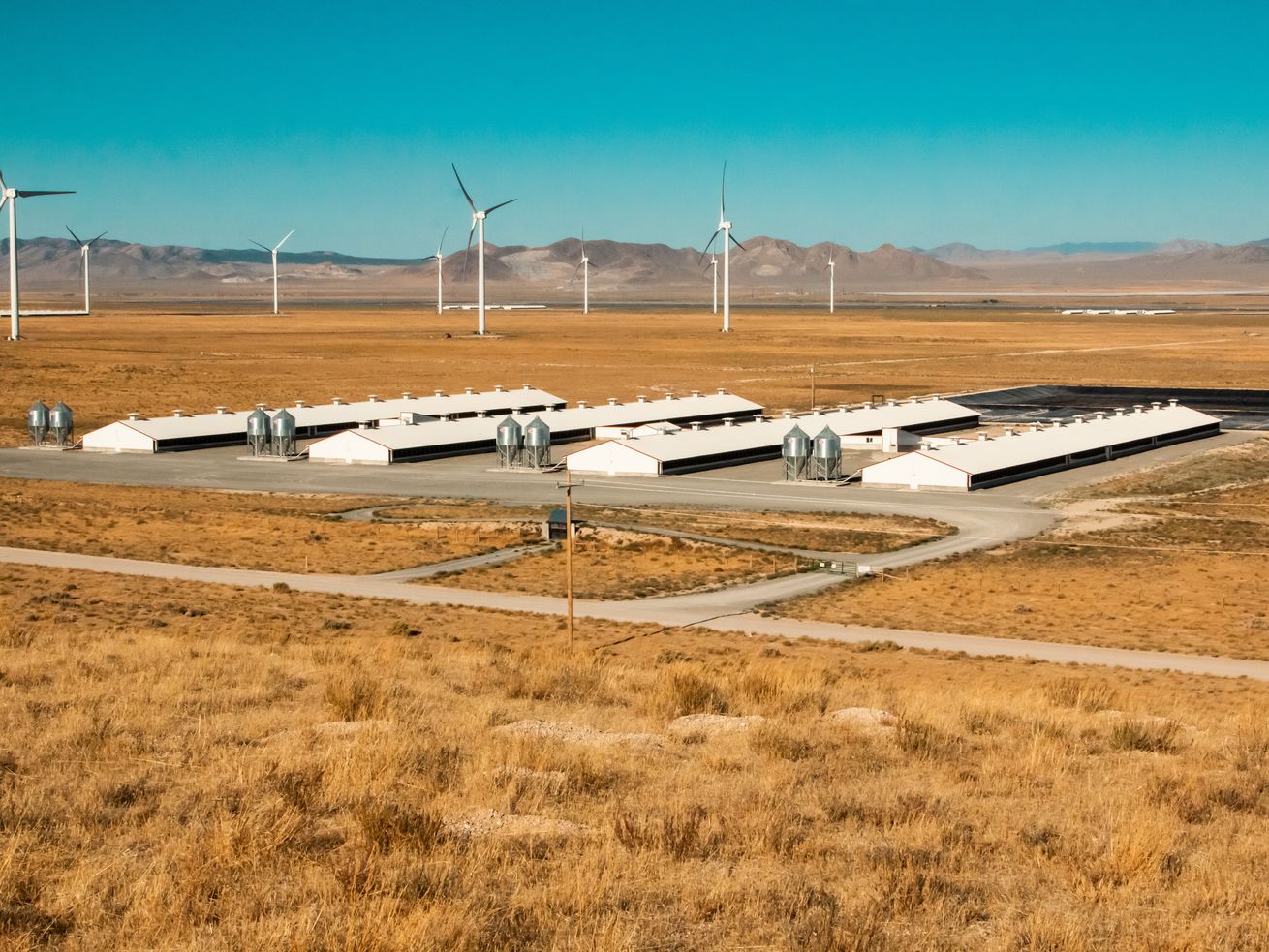 A collection of hog farms is now producing renewable
natural gas in southwestern Utah under a partnership between
Dominion Energy and Smithfield Foods. The project is the first
large-scale effort in the state to capture methane from hog farming
operations and convert it into clean energy for homes, businesses
and transportation.