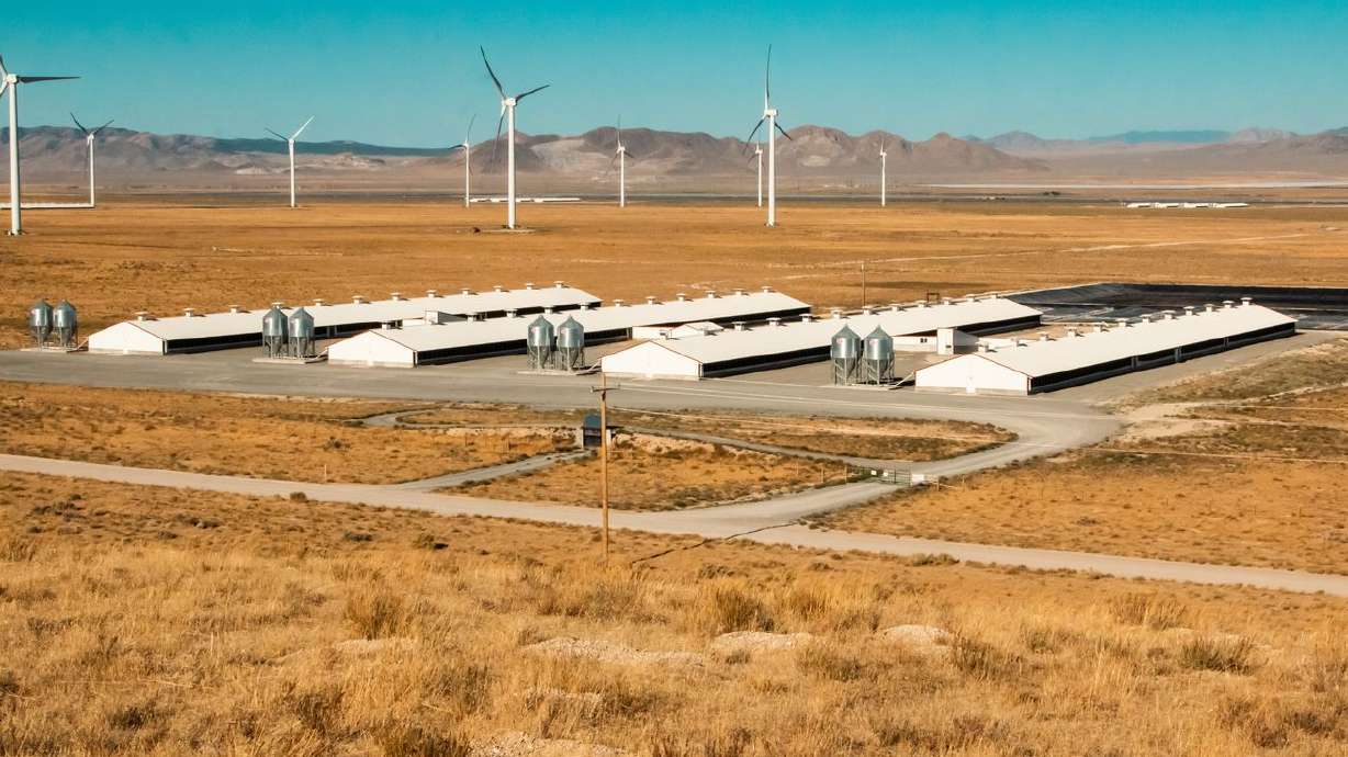 A collection of hog farms is now producing renewable
natural gas in southwestern Utah under a partnership between
Dominion Energy and Smithfield Foods. The project is the first
large-scale effort in the state to capture methane from hog farming
operations and convert it into clean energy for homes, businesses
and transportation.