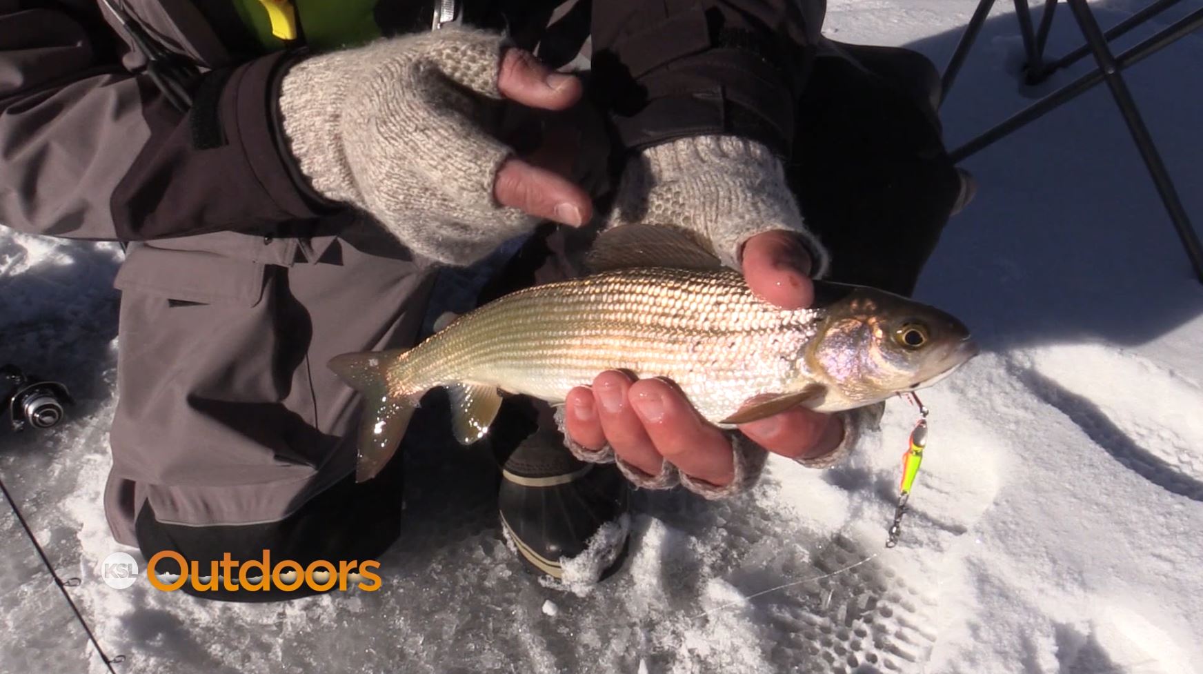 Ice Fishing for Grayling