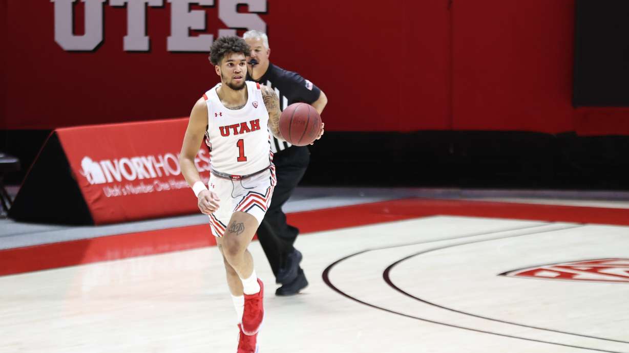 Connor Harding Portal update: Utah's Timmy Allen commits to Texas, BYU's Connor ...