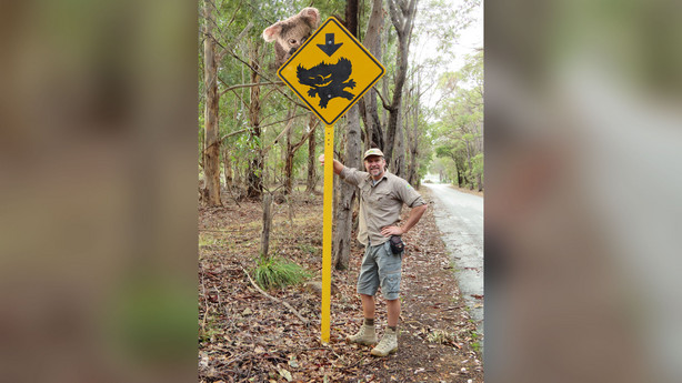 A drop bear — again, we need to clarify that they are photoshopped and not real — prepares to ambush Mythic Australia's Ian Coate.