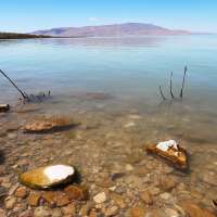 Cox names heads of state environmental, lands agencies