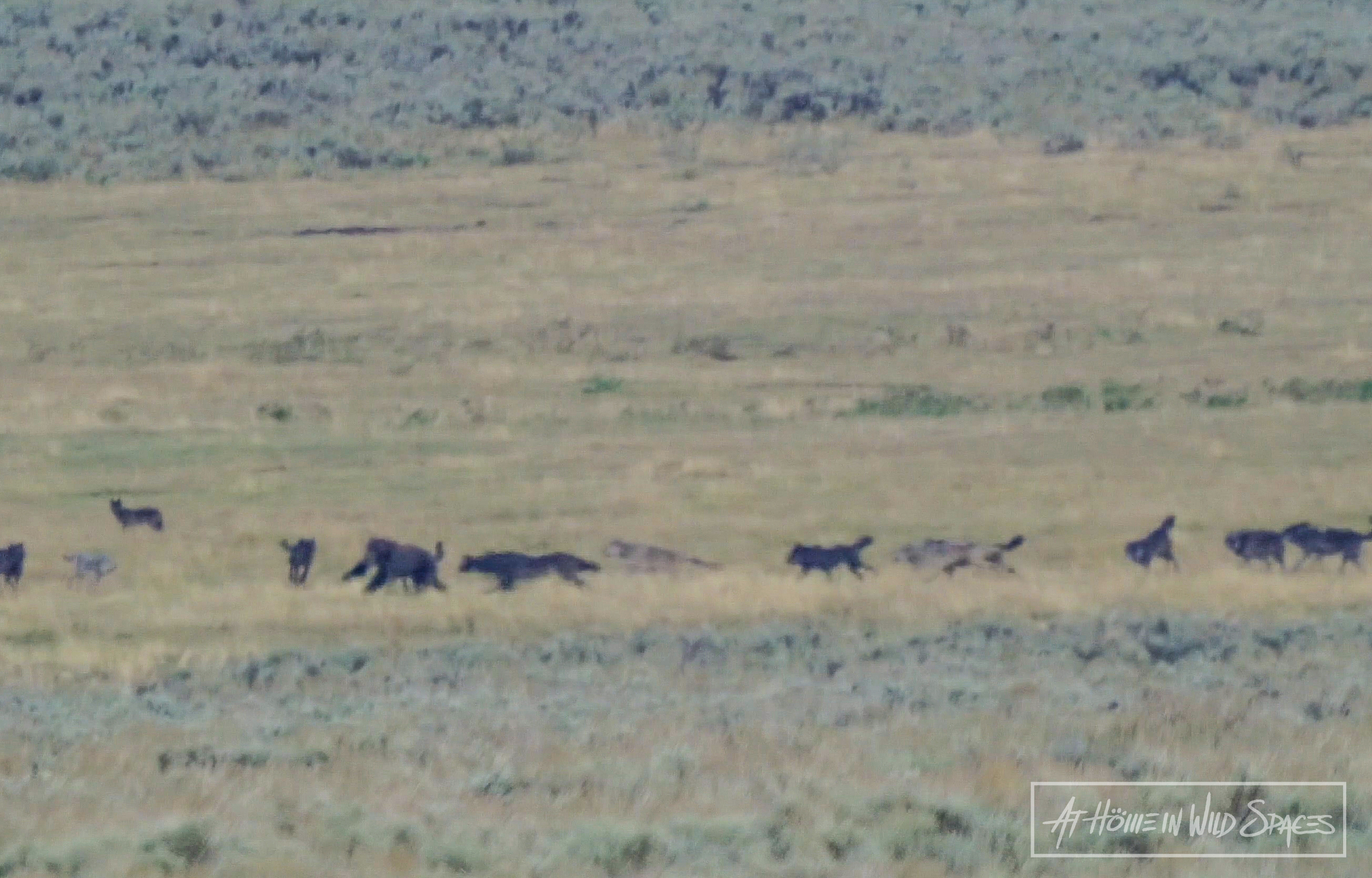 These were the 10 most-read KSL.com articles of 2020