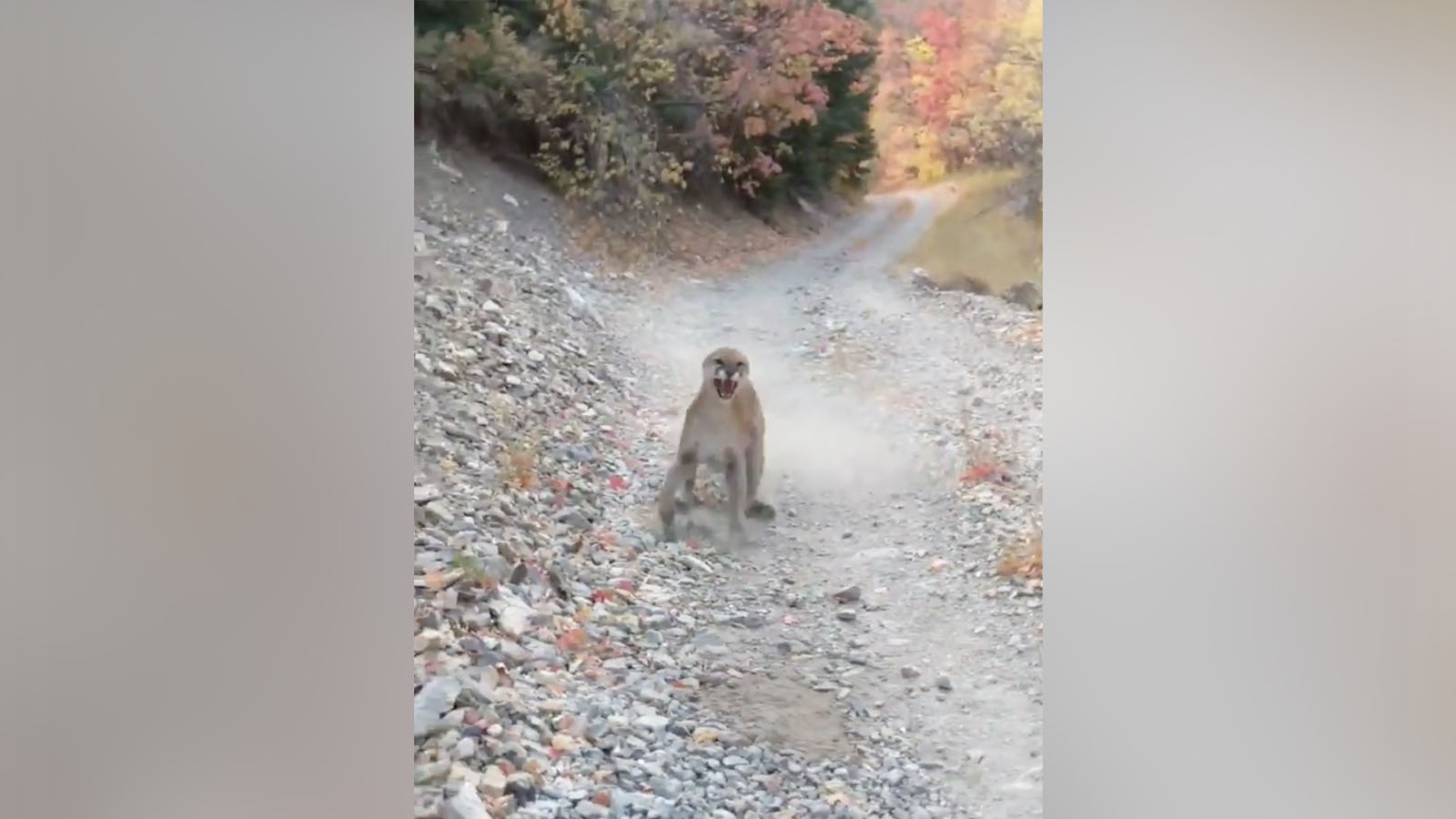 These were the 10 most-read KSL.com articles of 2020