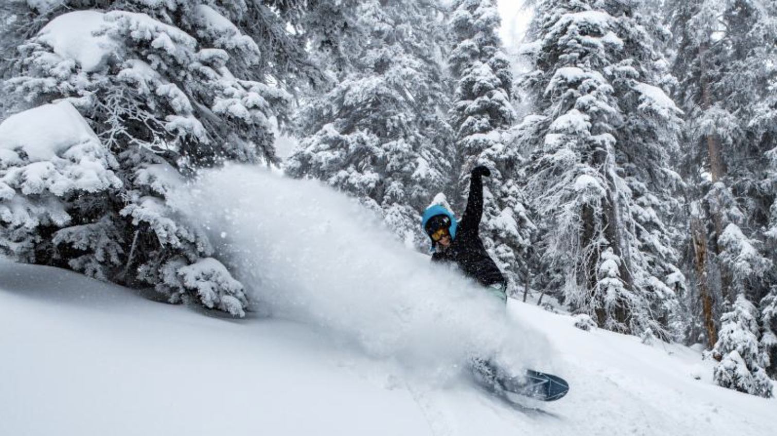 5 boxes you need to check at Powder Mountain