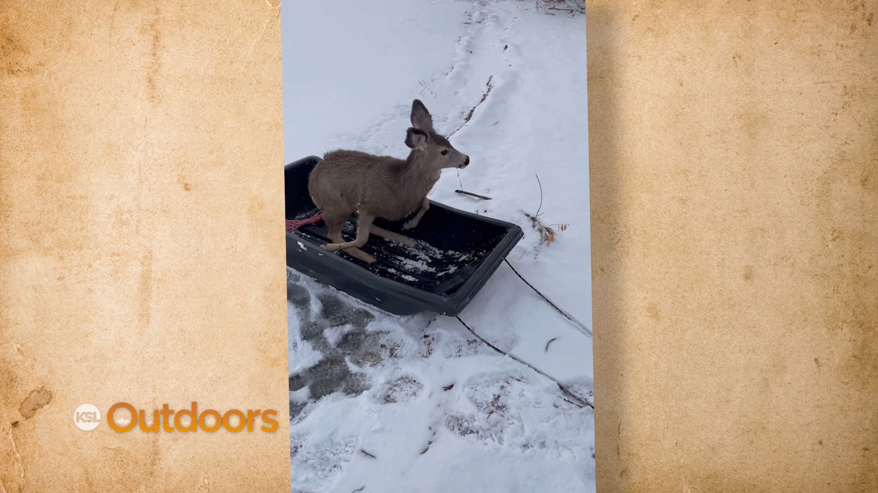 Snapshot of the Week: January 9, 2021