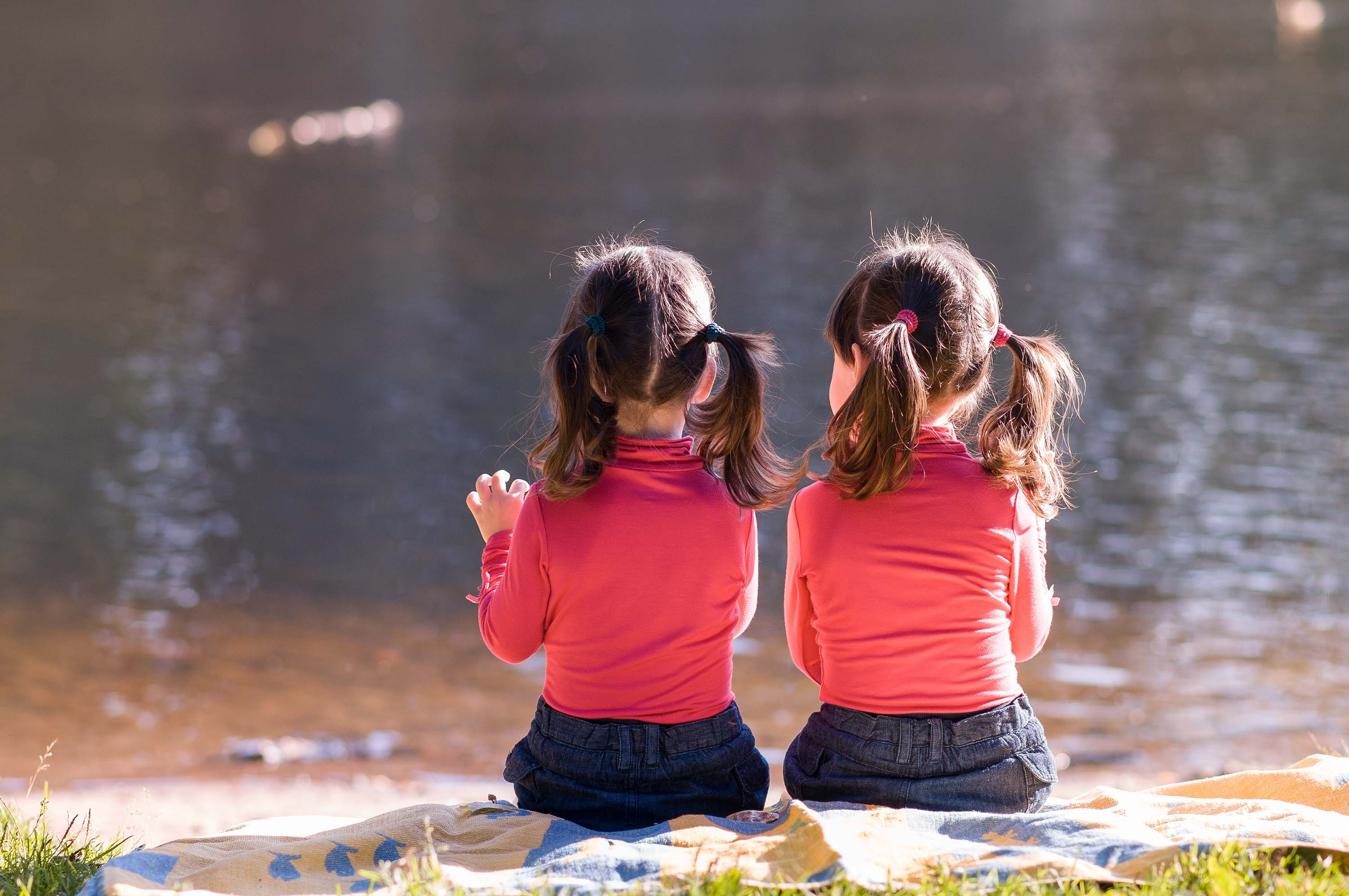 Researchers in Iceland have discovered genetic differences that begin at the early stages of embryonic development in twins.