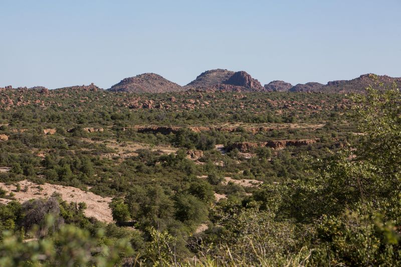 FILE PHOTO: A view of the future block cave mine planned by mining company Rio Tinto in the Tonto National Forest near Superior, Arizona May 30, 2015. Considered a home to the San Carlos Apache tribe, the site is slated for development into a copper mine by Rio Tinto. REUTERS/Deanna Dent/File Photo