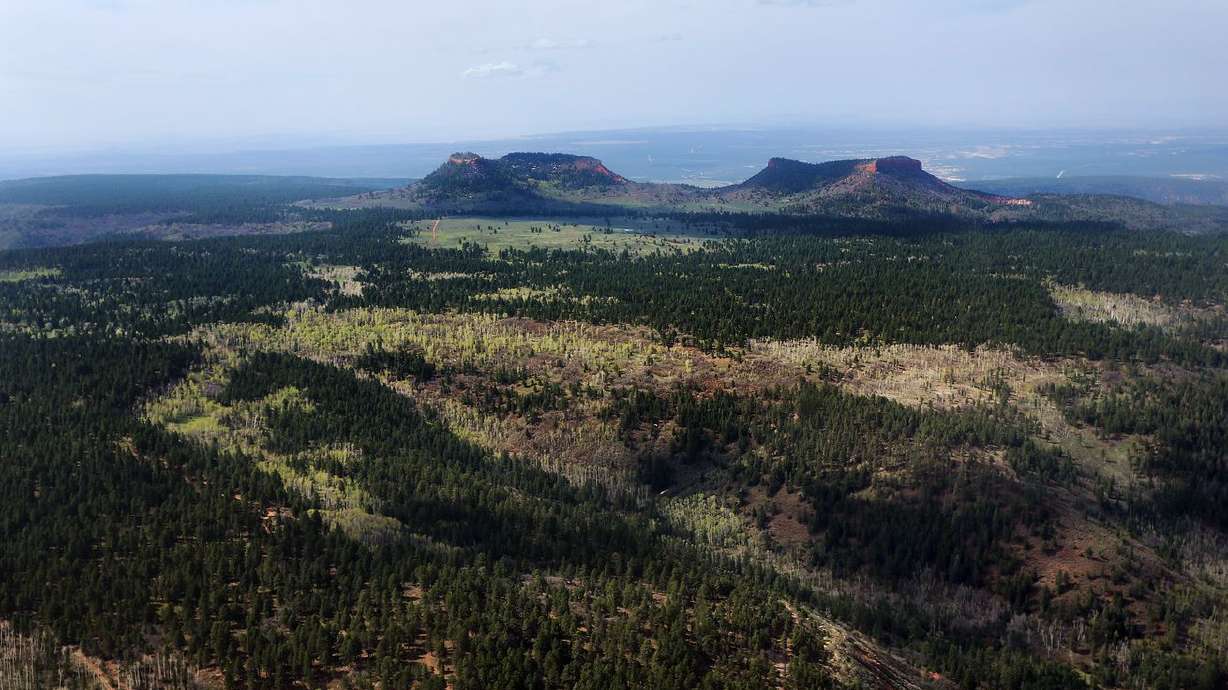 The Bears Ears of the Bears Ears National Monument are
pictured from the air on Monday, May 8, 2017.