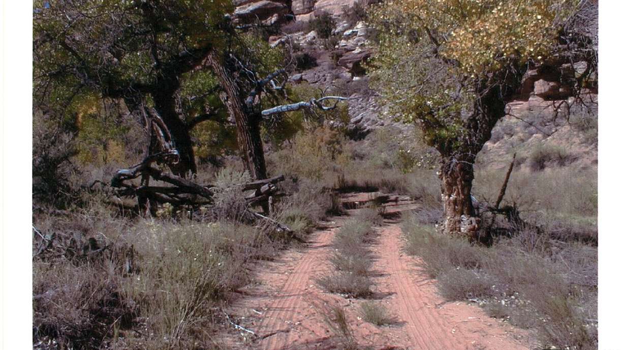 Photo of Salt Creek road in San Juan County, which is
at the center of the dispute between local government and the feds.
Utah State and San Juan County are claiming rights to the road
under RS2477, a Civil War-era statue concerning the creation of
public roadways. Photo provided by San Juan County