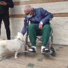 Never gonna give you pup: Dog waits for owner outside Turkish hospital