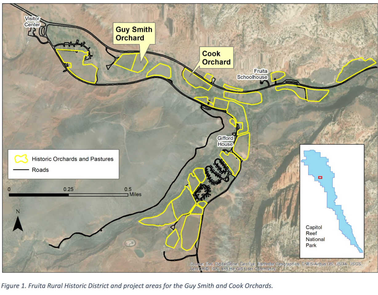 This map, provided by Capitol Reef National Park, shows the location of the Fruita orchards by the Capitol Reef National Park Visitors Center. The proposed rehabilitation project centers by the Guy Smith and Cook orchards in the northern part of Fruita.