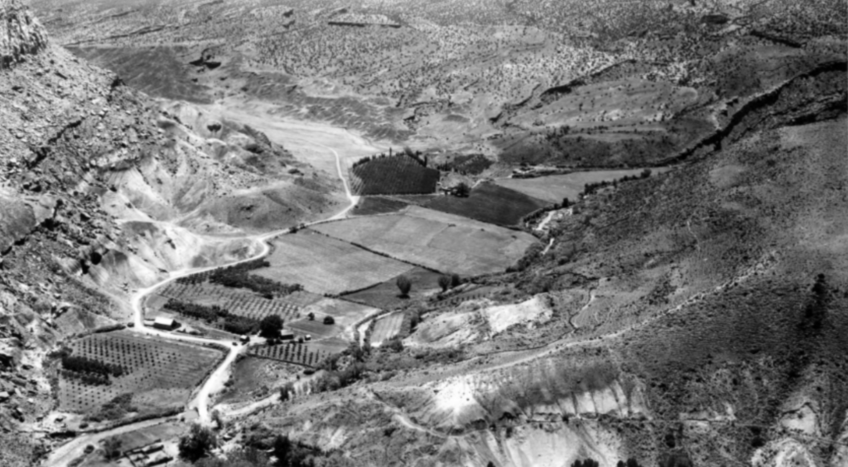 An aerial image of the Fruita orchards near present-day Capitol Reef National Park.